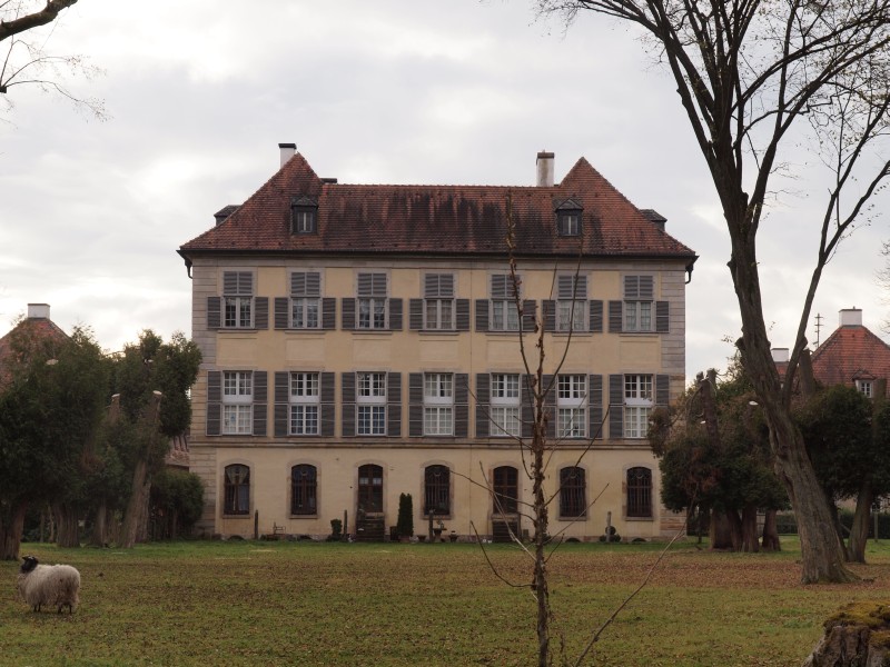 Schloss Birkenfeld