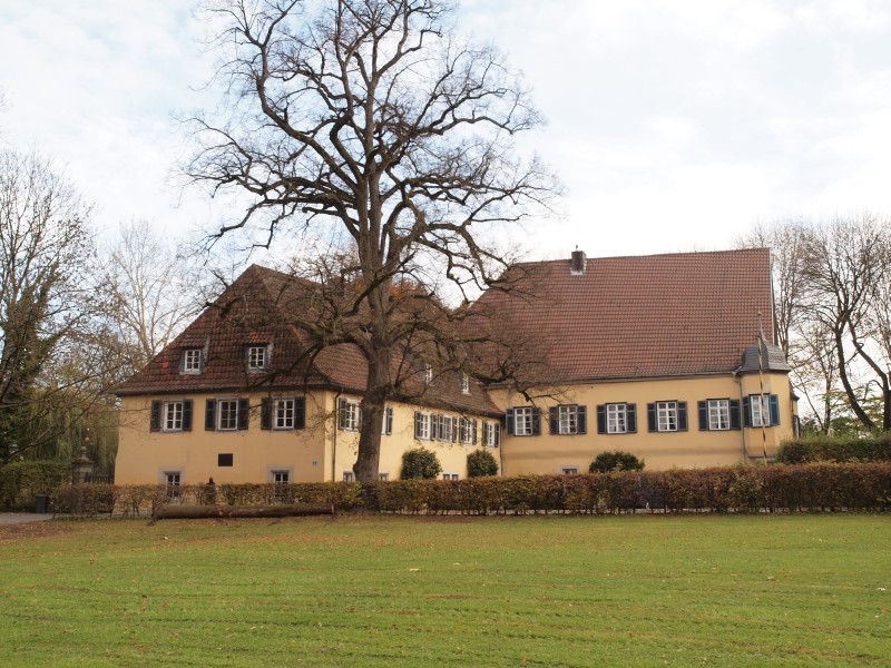 Schloss Niederfllbach