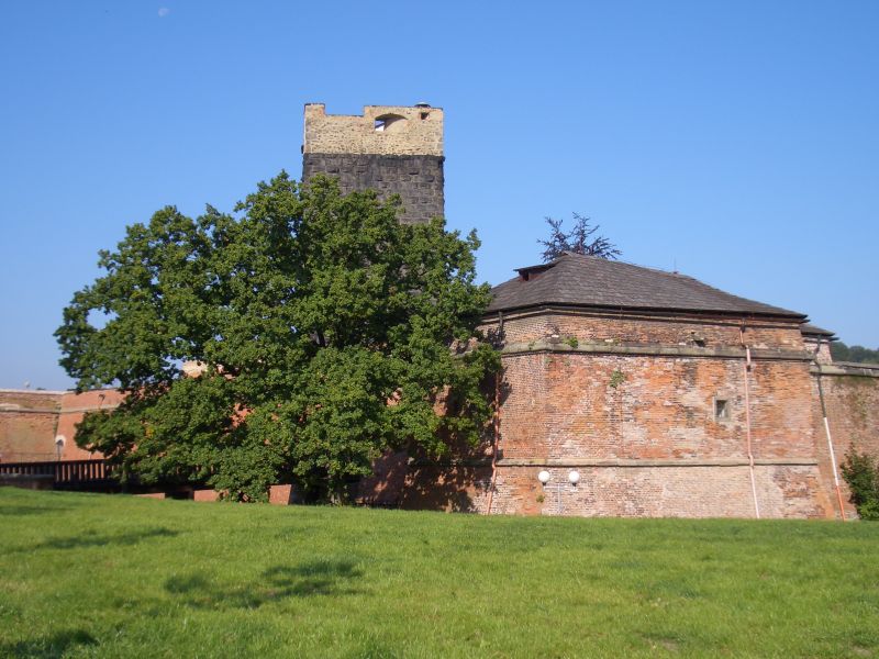 Burg Eger