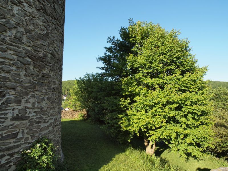 Burg Altweilnau