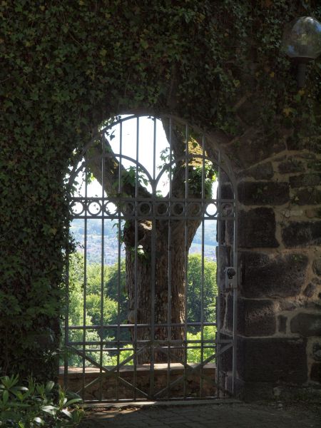 Burg Schiffenberg