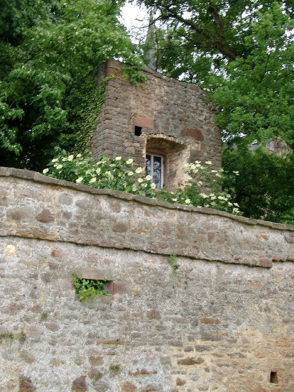 Burg Schweinsberg