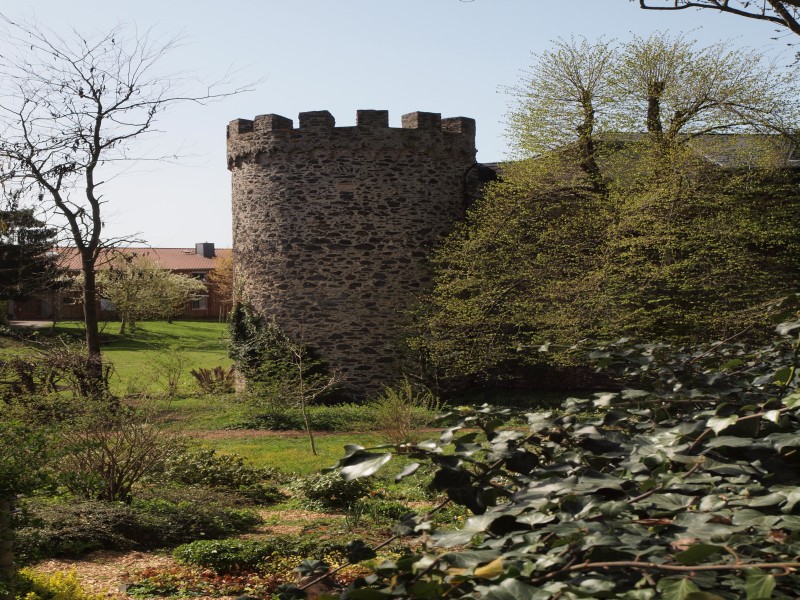 Schloss Bingenheim