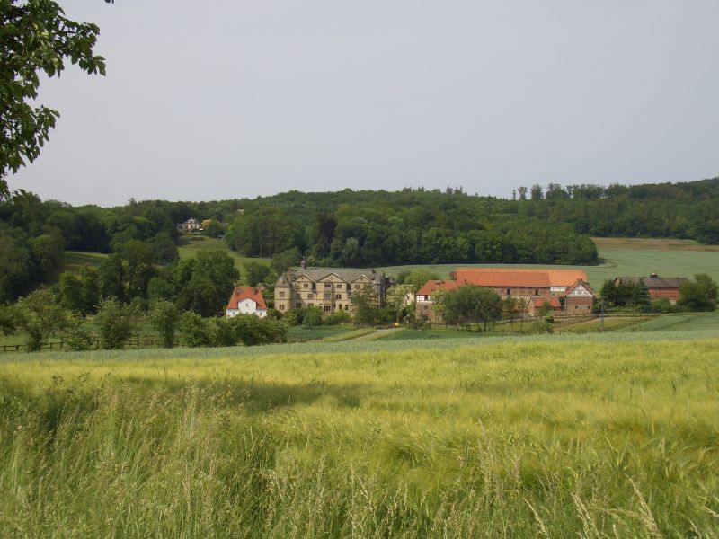 Schloss Elmarshausen