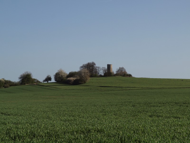 Wartturm Grnberg