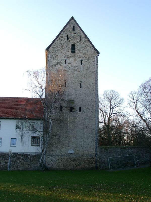 Burg Wittlage