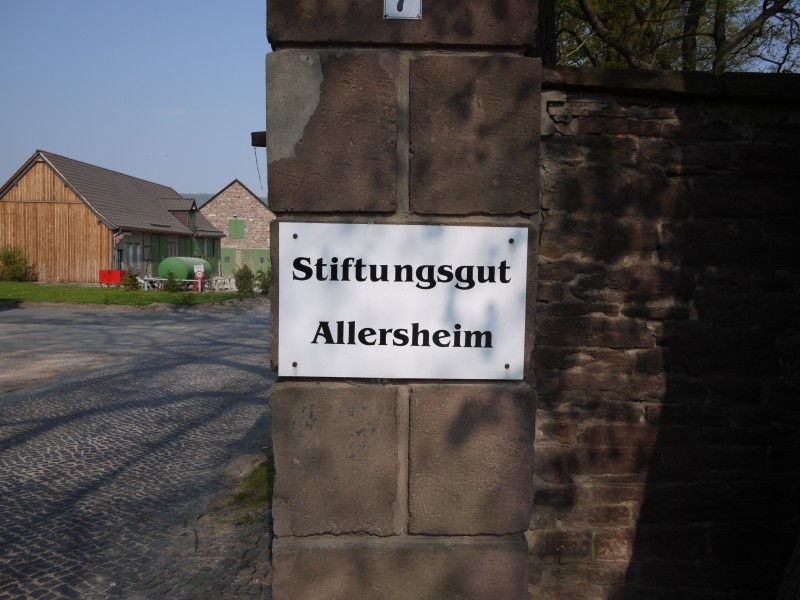 Gut Allersheim