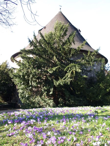 Rotunde