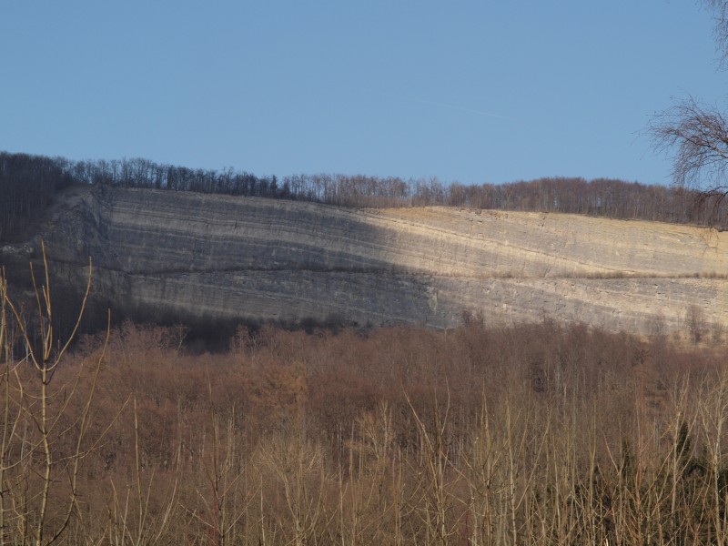 Schloss Harderode