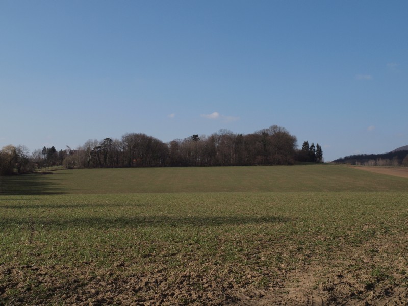 Schloss Harderode