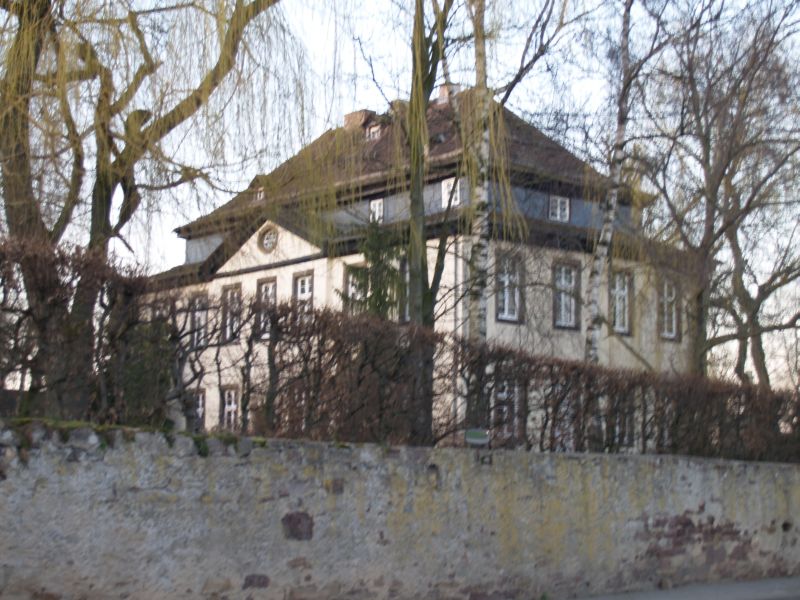 Schloss Natzungen