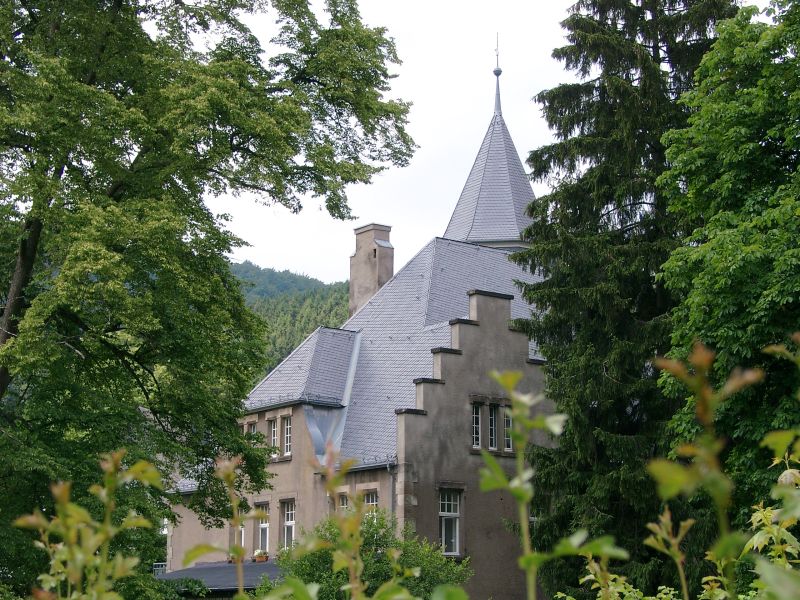 Schloss Wildenberg