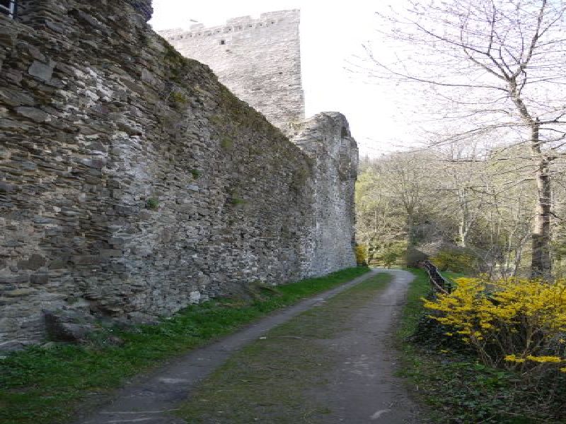 Burg Grenzau