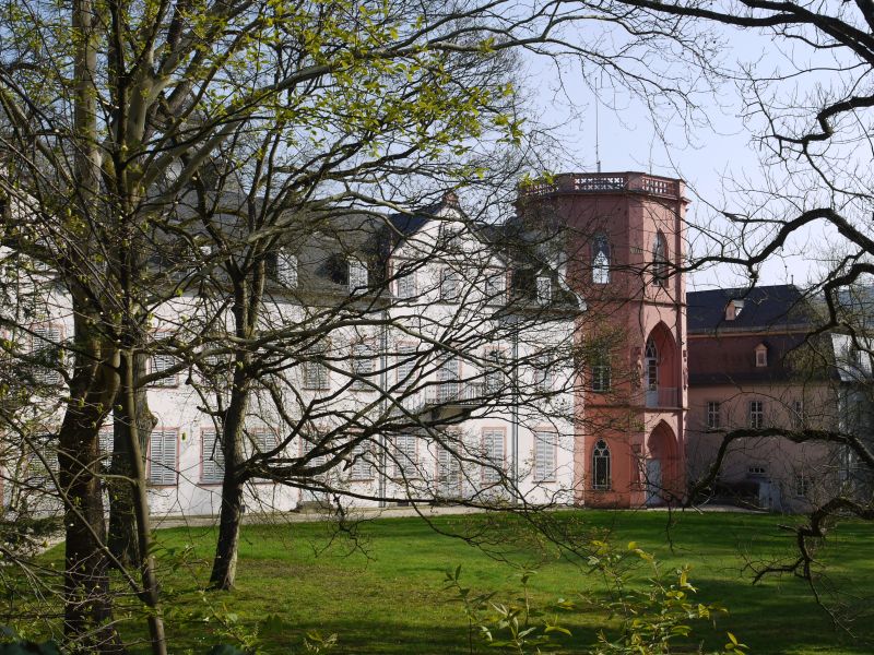 Stein'sches Schloss