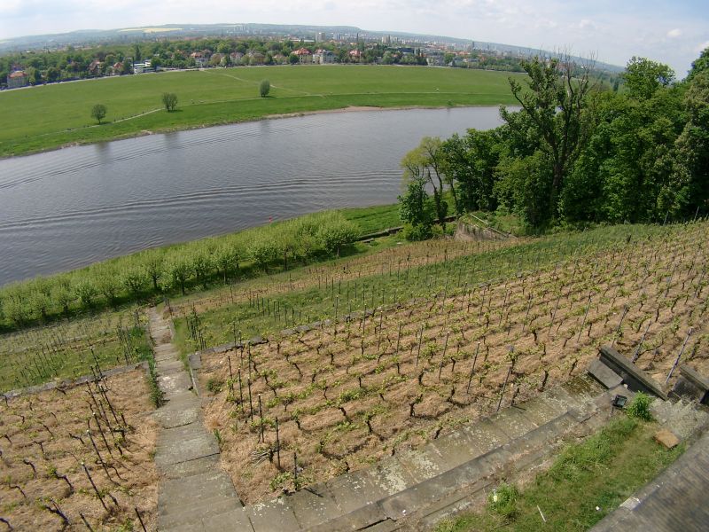 Lingnerschloss Dresden