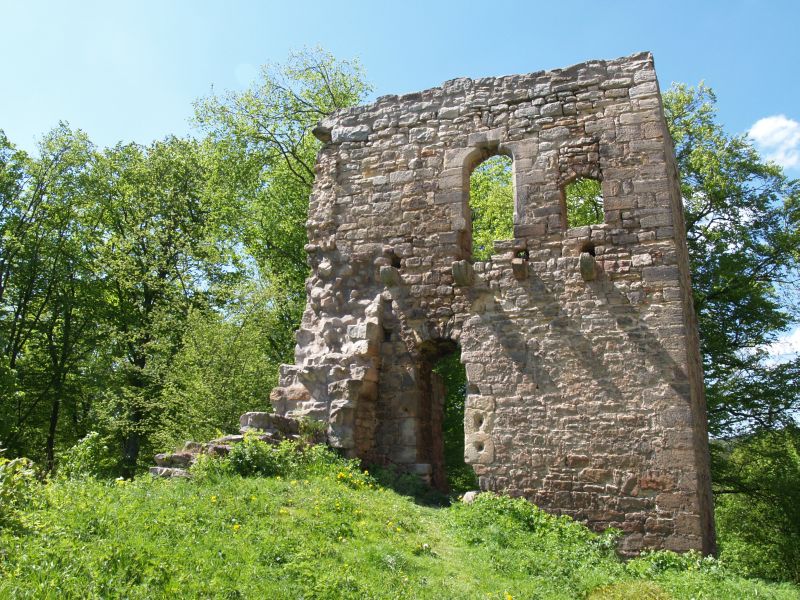 Burg Tannroda