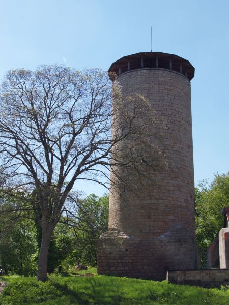 Burg Tannroda