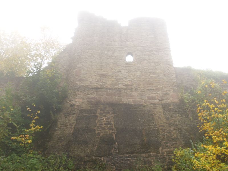 Burgruine Henneberg