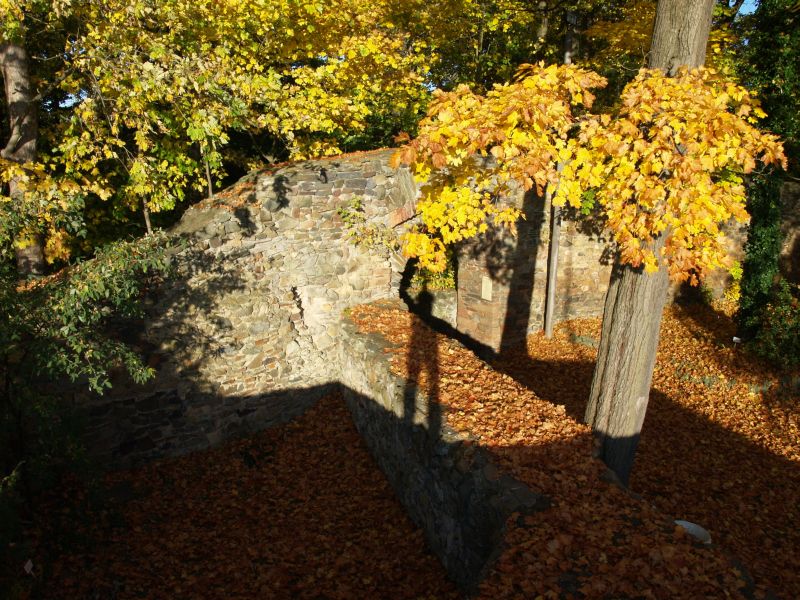 Burgruine Reichenfels