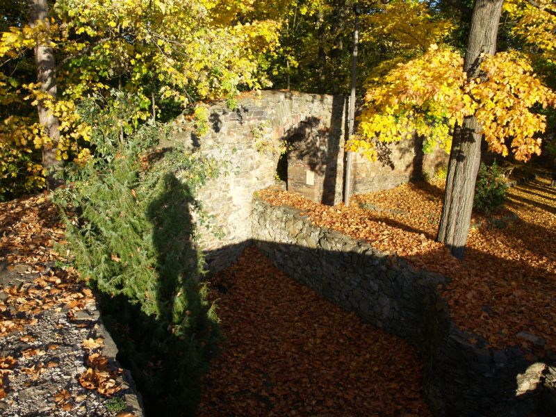 Burgruine Reichenfels