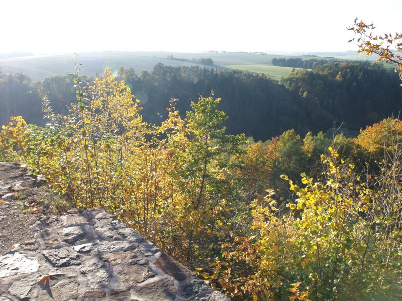 Burgruine Reichenfels