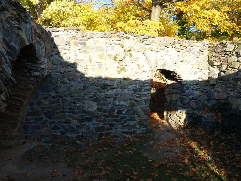 Burgruine Reichenfels