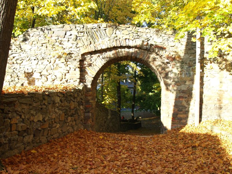 Burgruine Reichenfels