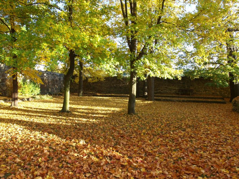 Burgruine Reichenfels