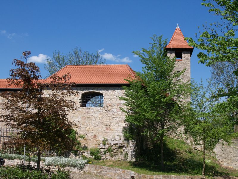 Niederburg Kranichfeld