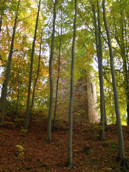 Ruine Frankenberg