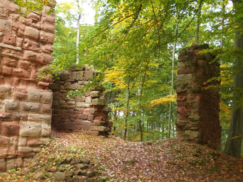 Ruine Frankenberg