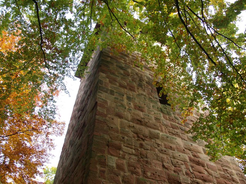 Ruine Frankenberg