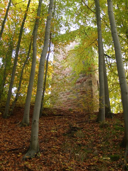 Ruine Frankenberg